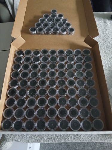 100 padded coin - 100,